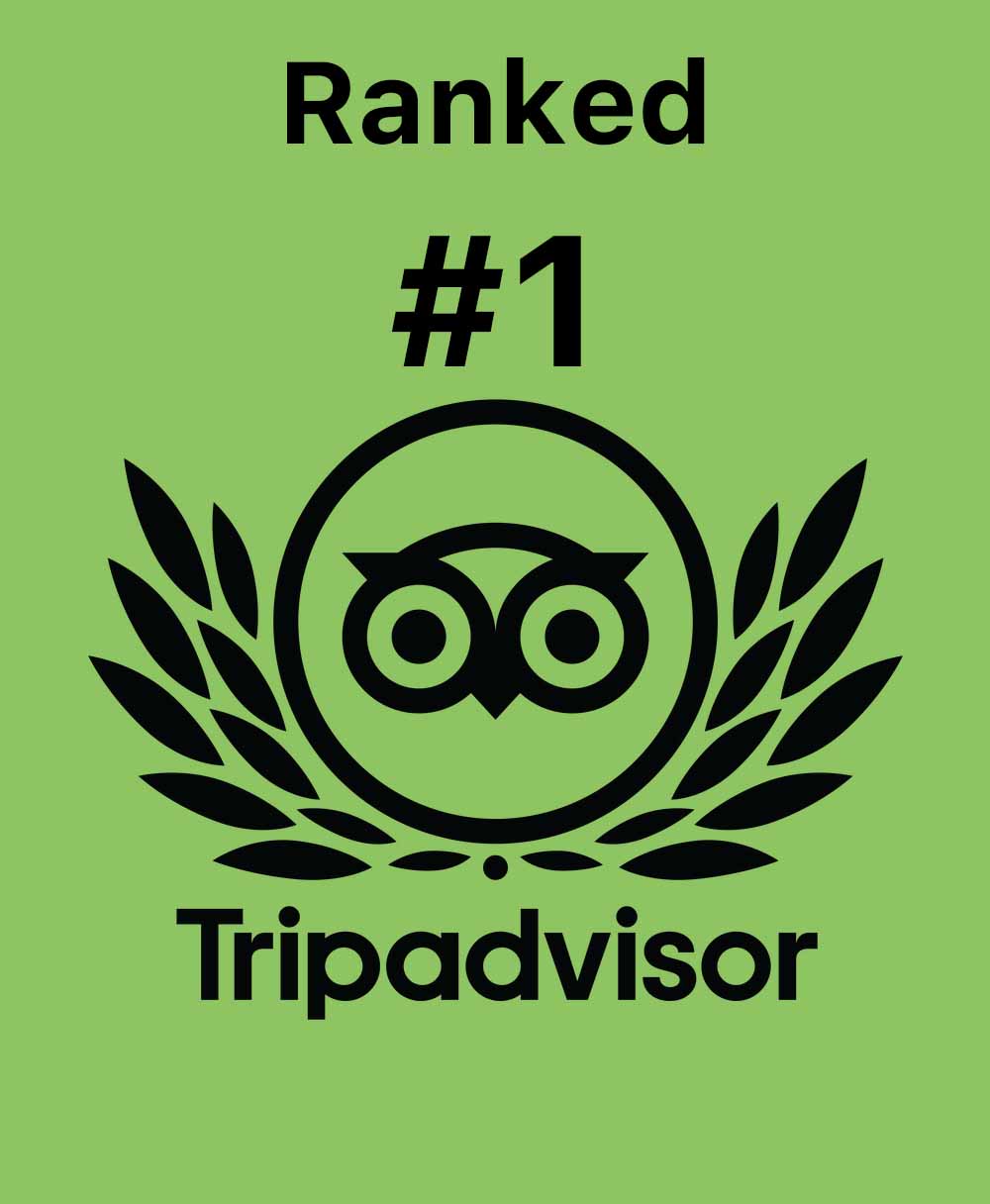 tripadvisor-ranked-1 (1)
